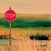 Ok3w.Net -- cx