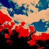 Ok3w.Net -- cx